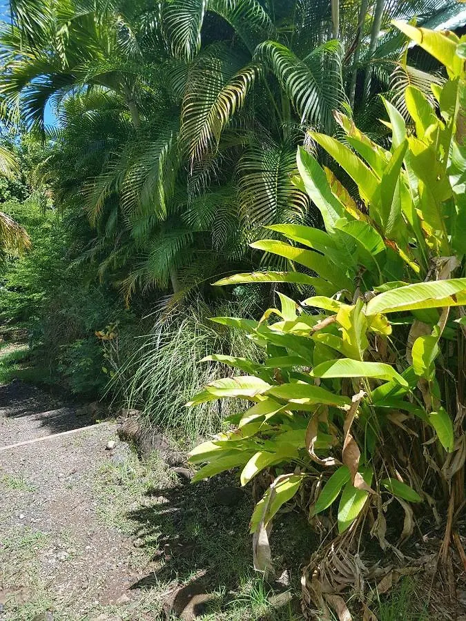 Holiday home Repaire Jade & Jack Villa Bas Vent Guadeloupe